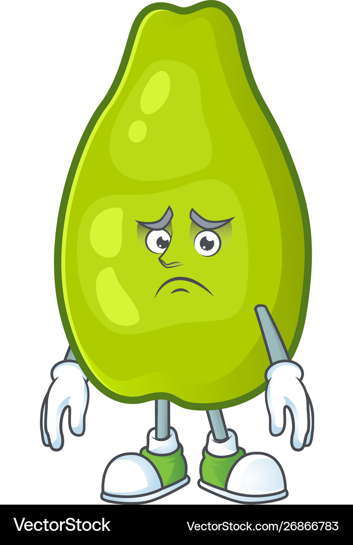 Afraid papaya character cartoon with funny face Vector Image