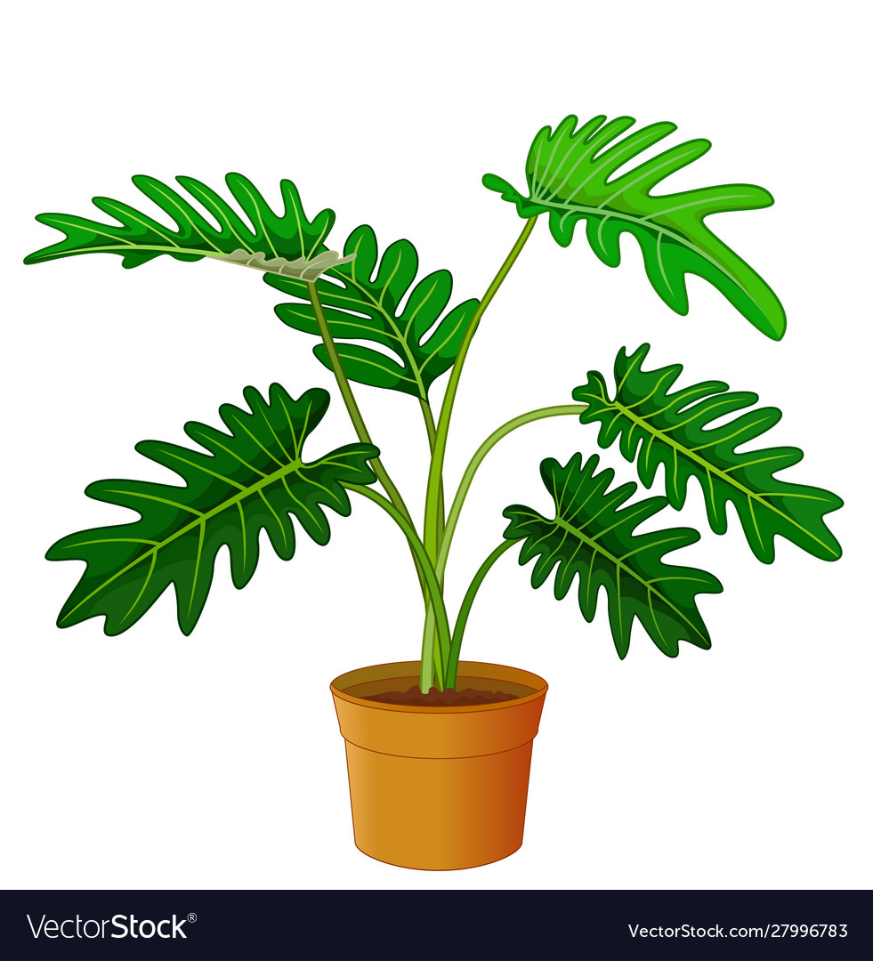 Cool green leaves ivy plant in brown pot cartoon