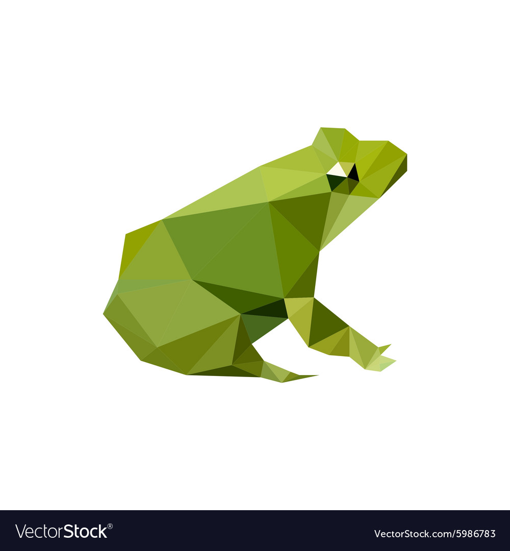 Modern flat design with origami frog