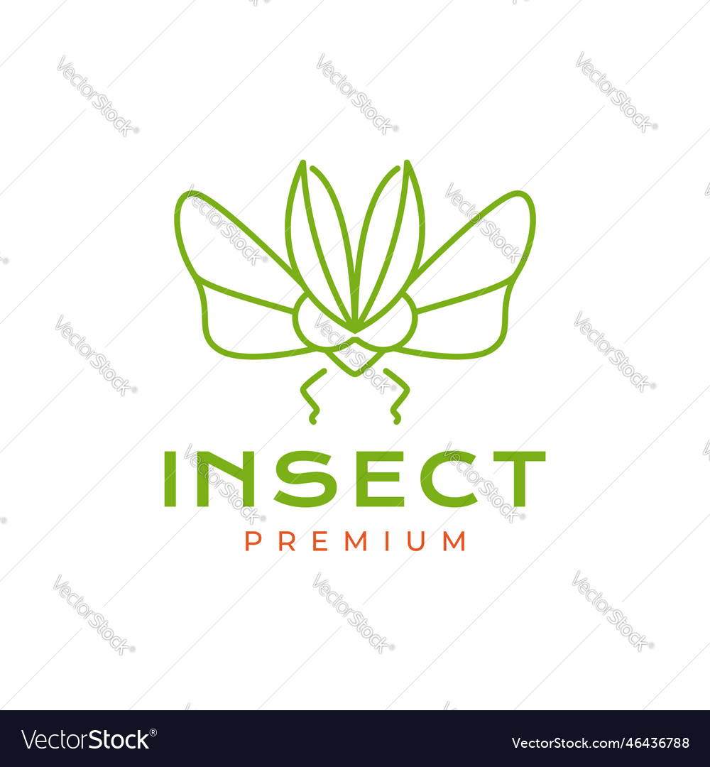 Animal insect grasshopper leaves wings fly Vector Image