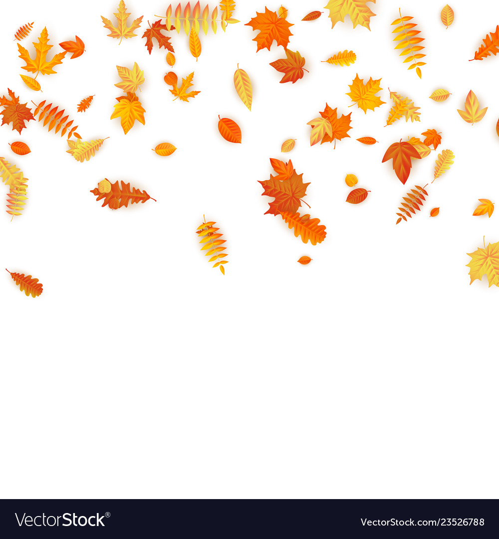 Autumn background with golden maple oak