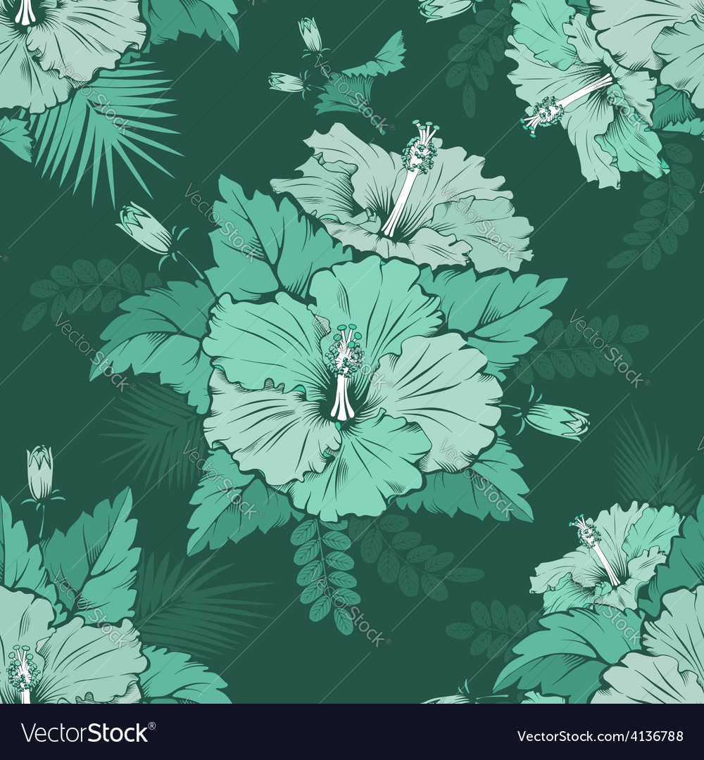 Hibiscus Royalty Free Vector Image - VectorStock