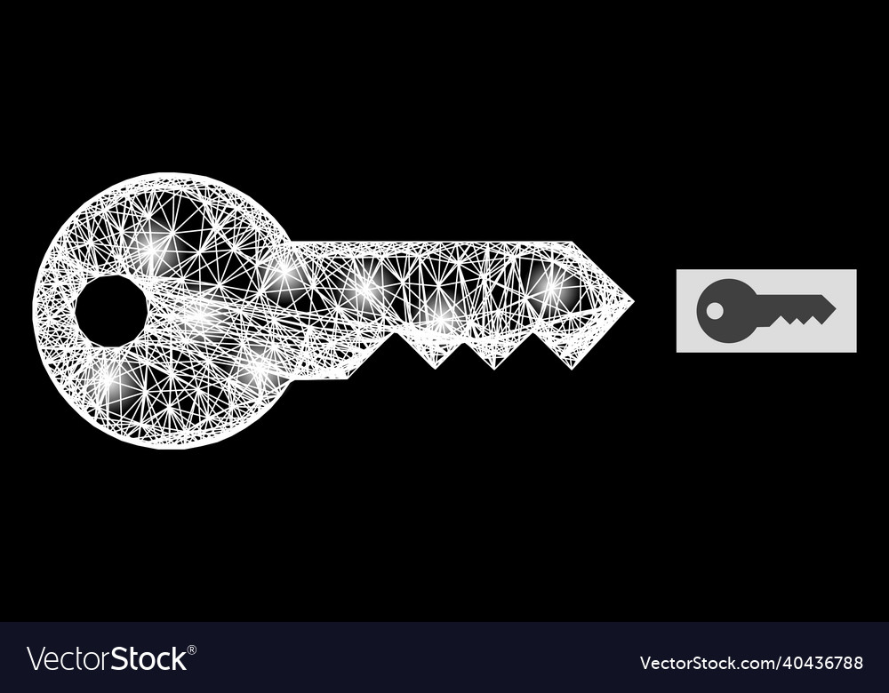 Shiny net mesh key with light spots vector image Shiny net mesh key with light spots