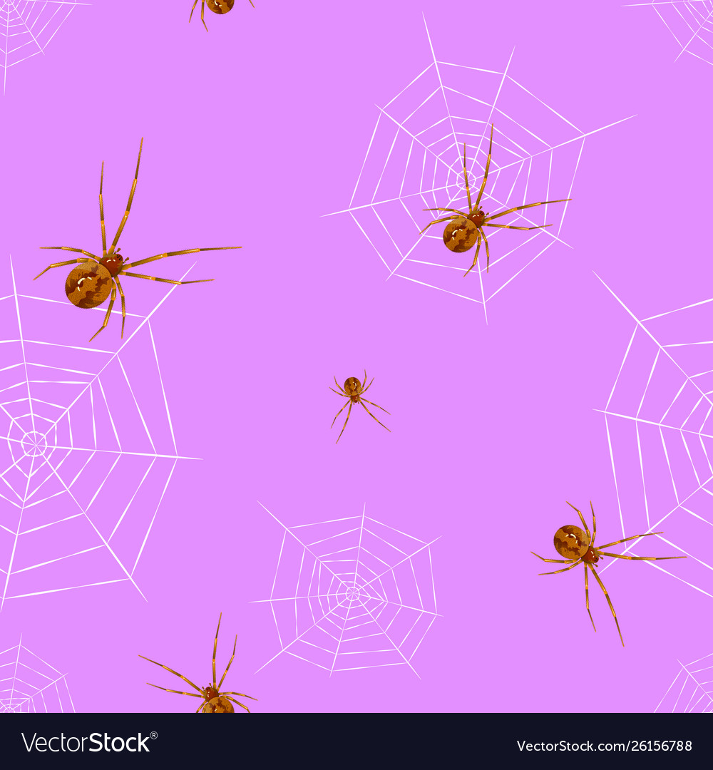 Spider cobweb seamless vector image Spider cobweb seamless