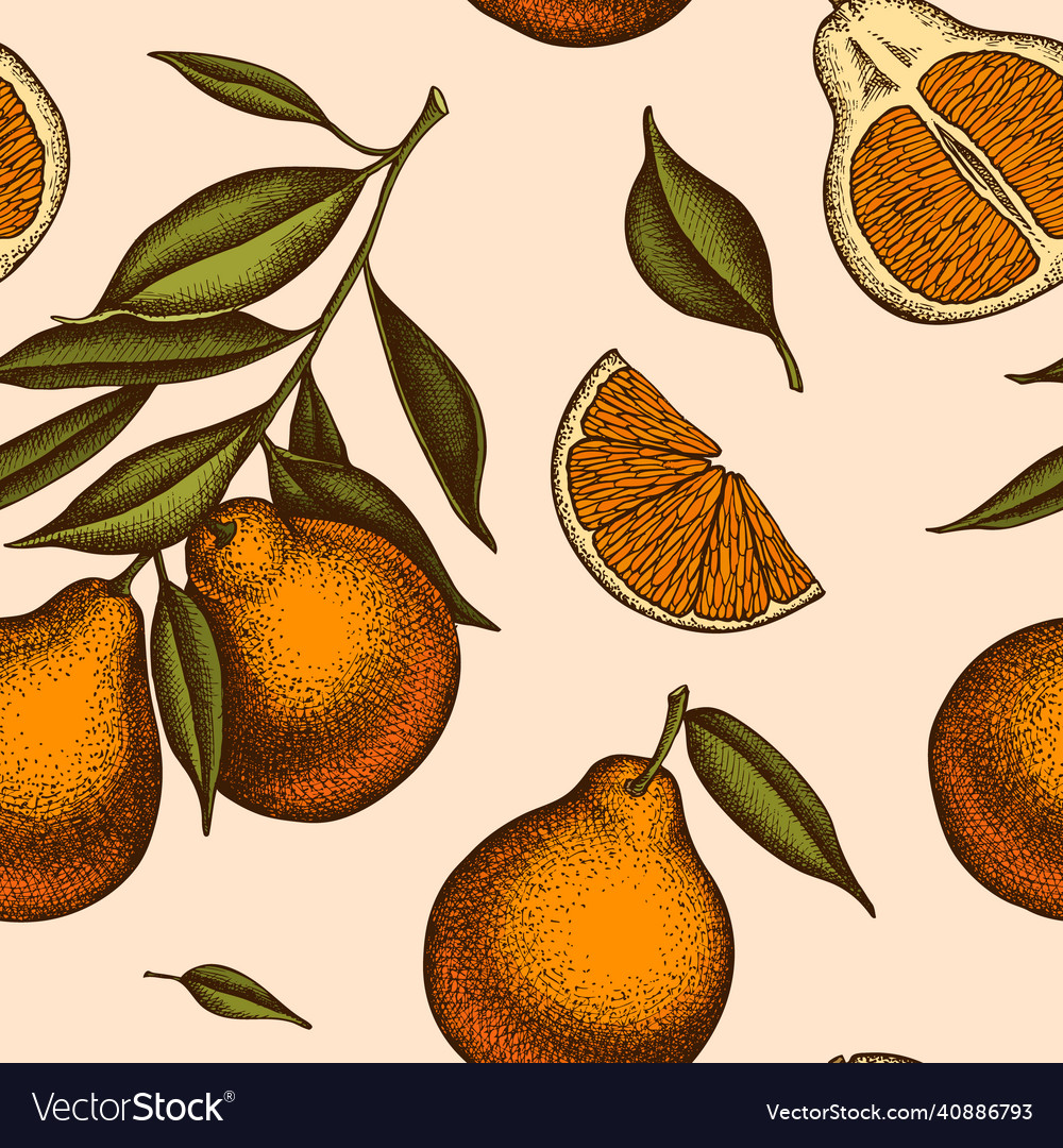Citrus seamless pattern background design