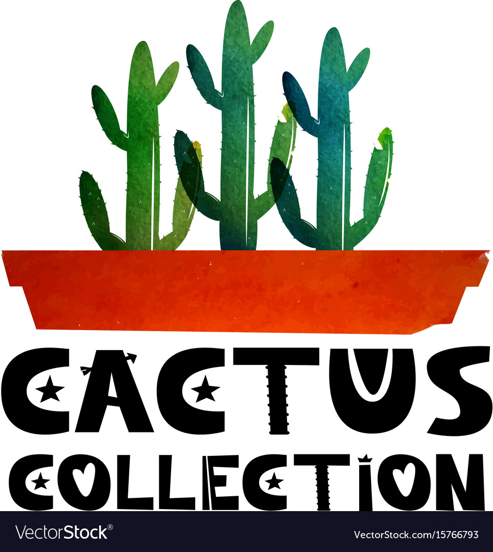 Cute lettering text collection cacti logo