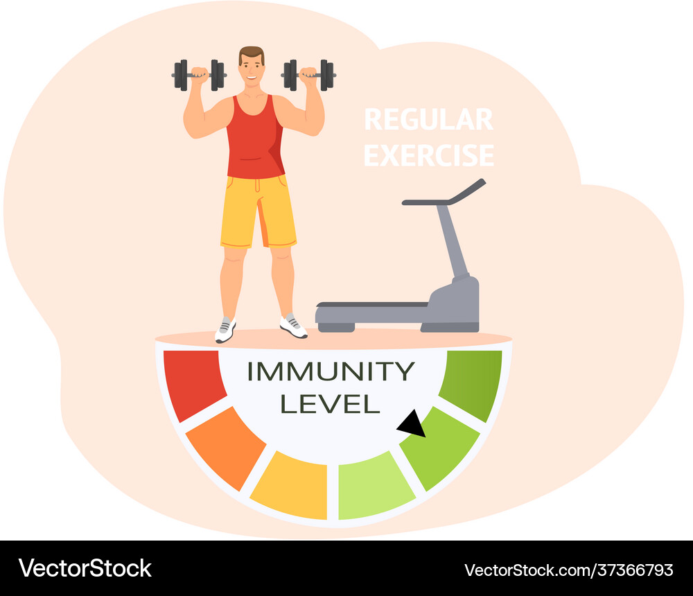 Immunity level increases due to sposts activity Vector Image