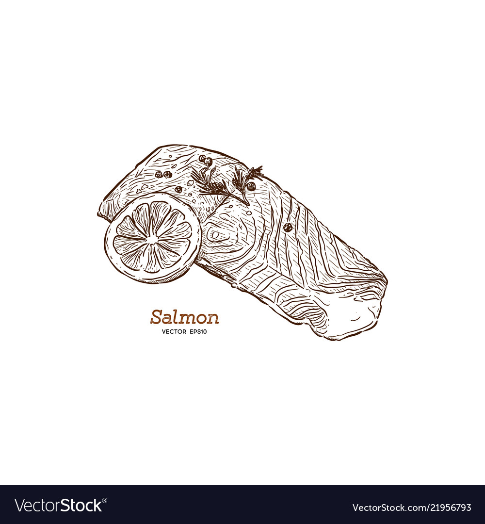 Salmon steak hand drawn