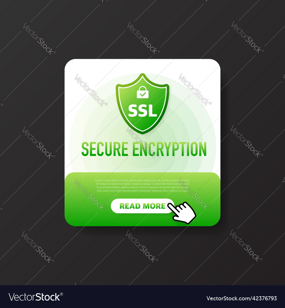 Secure connection icon Vector Image Secure connection icon