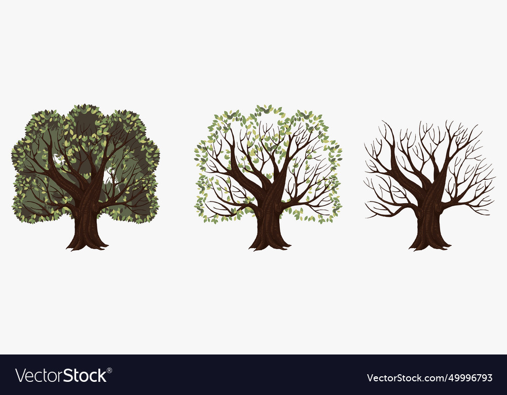 Tree with and without foliage symbol of change