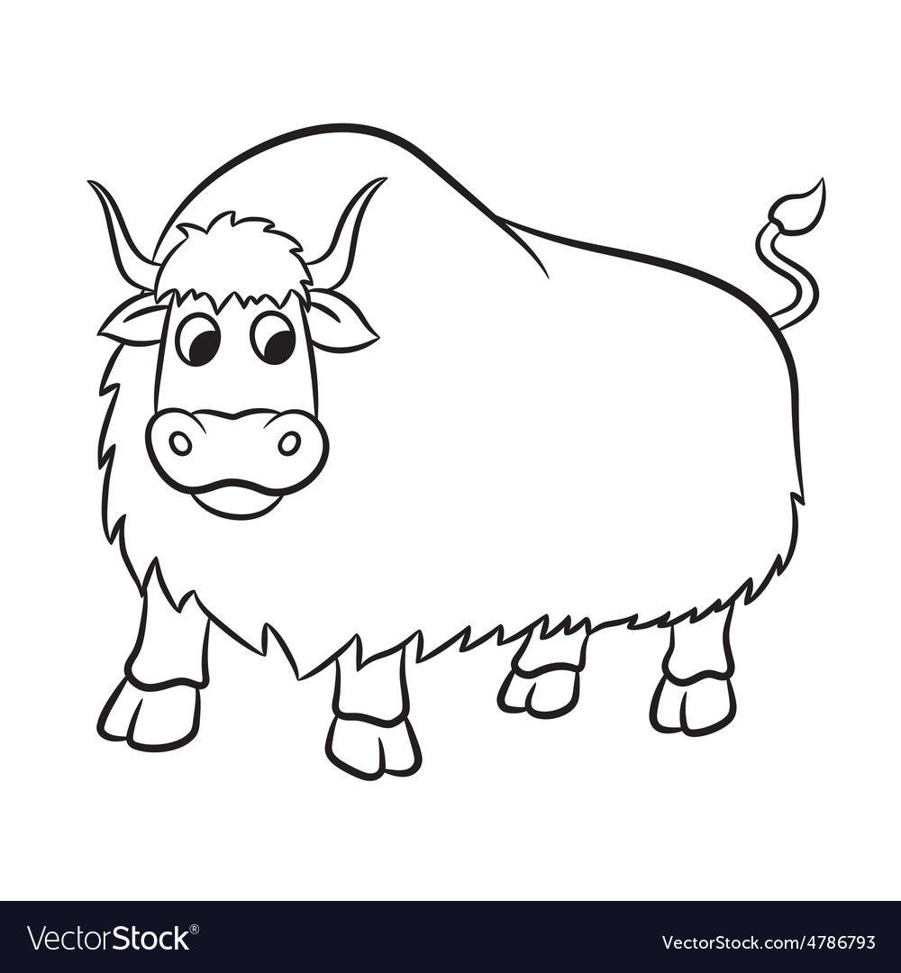 Featured image of post How To Draw A Yak For Kids 2 from the middle of the rectangle draw one vertical and one horizontal line equally dividing the shape