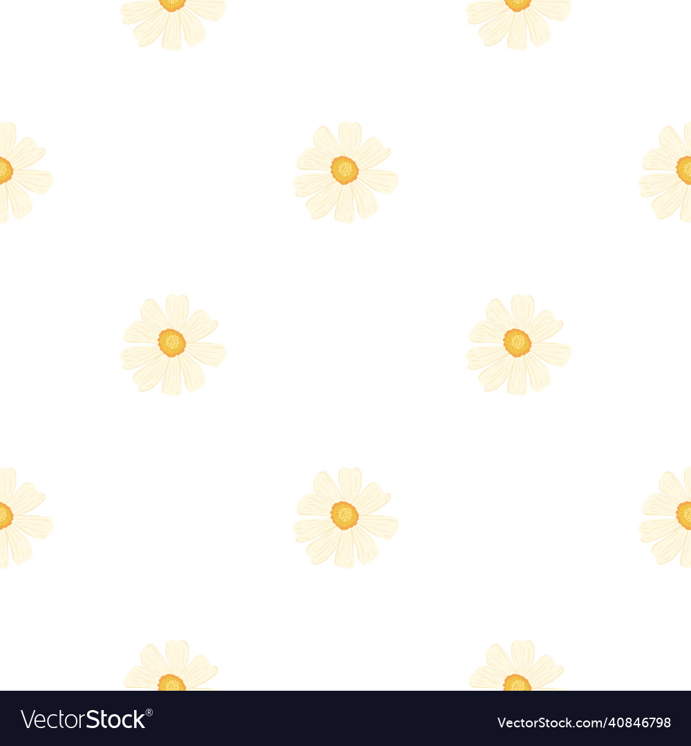 Chamomile pattern seamless in freehand style