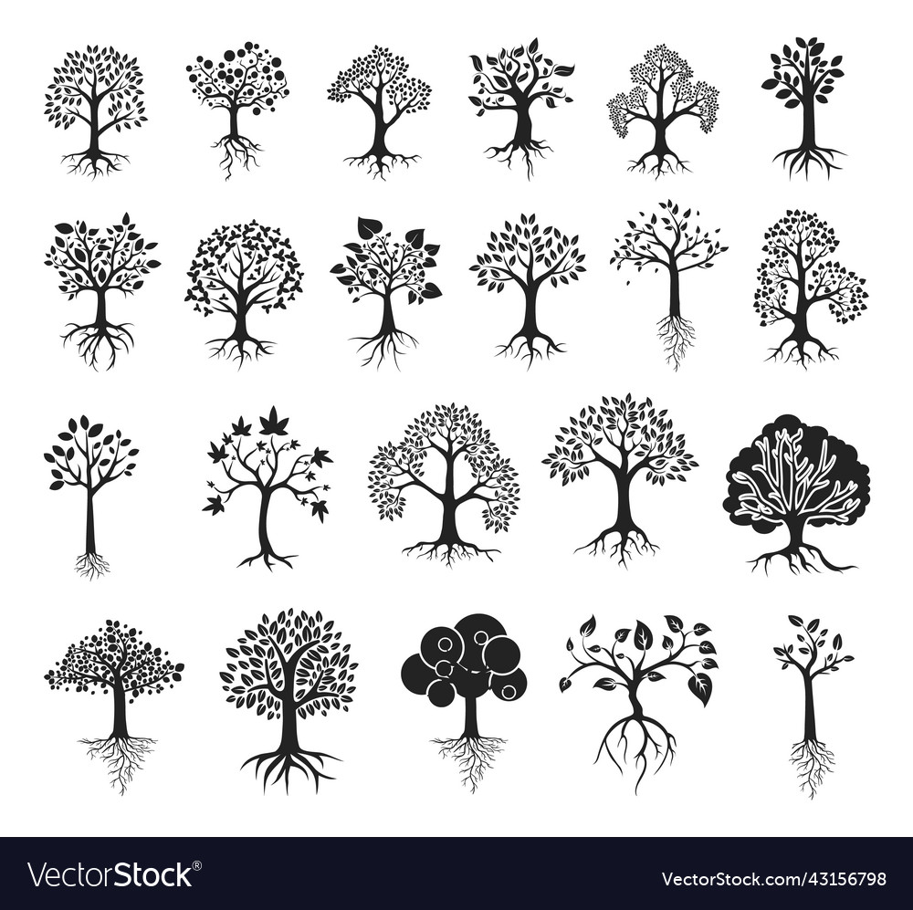 Tree Root Silhouettes - Black & White