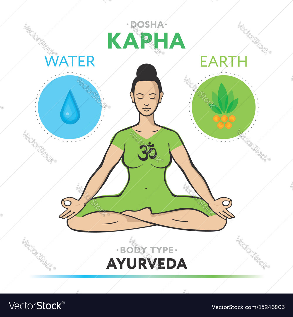 Kapha dosha - ayurvedic physical constitution Vector Image