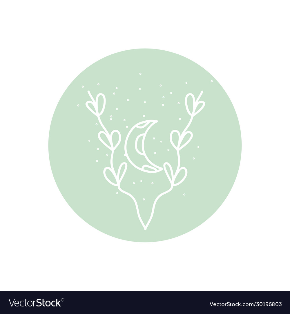 Leaves and moon icon line style minimalist