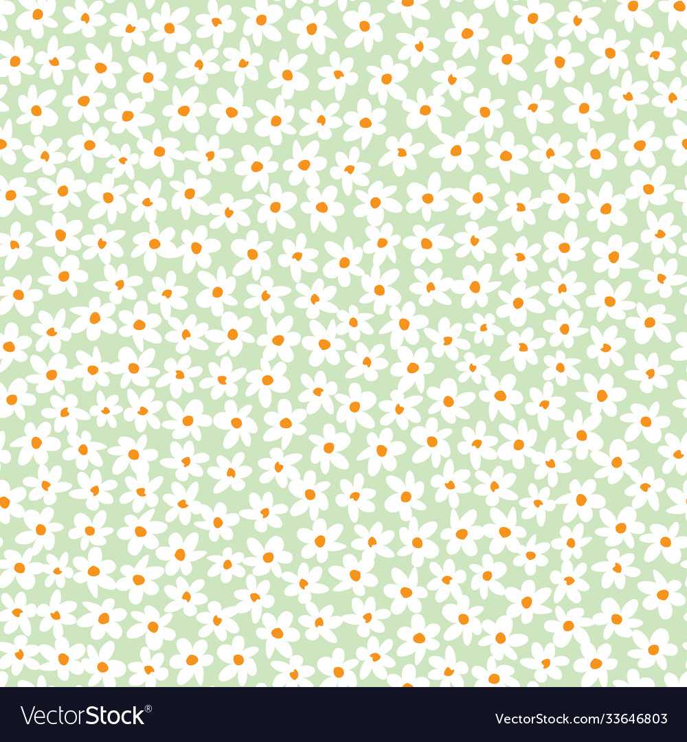 Pastel Daisy Blumenmuster