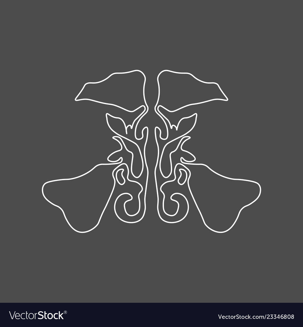 Maxillary sinus linear icon sinusitis