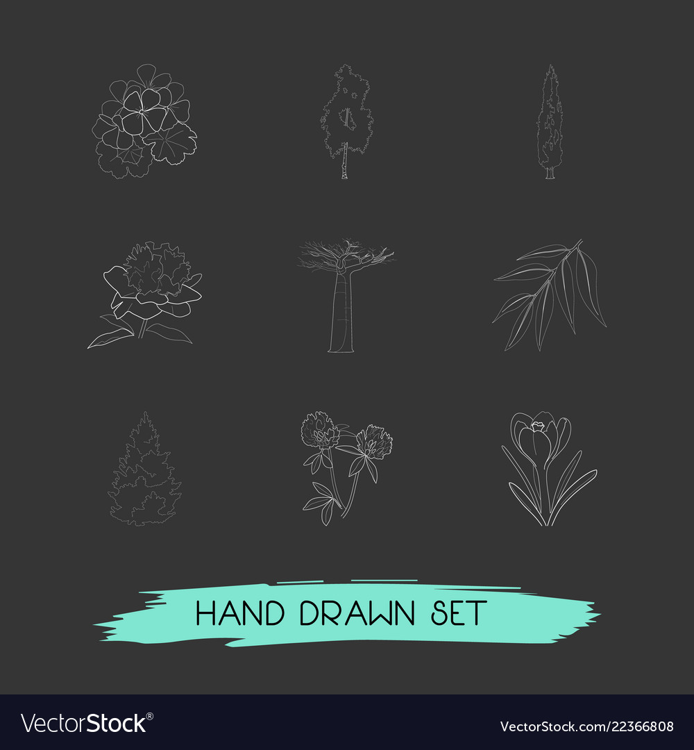 Set of nature icons line style symbols with fir vector image Set of nature icons line style symbols with fir