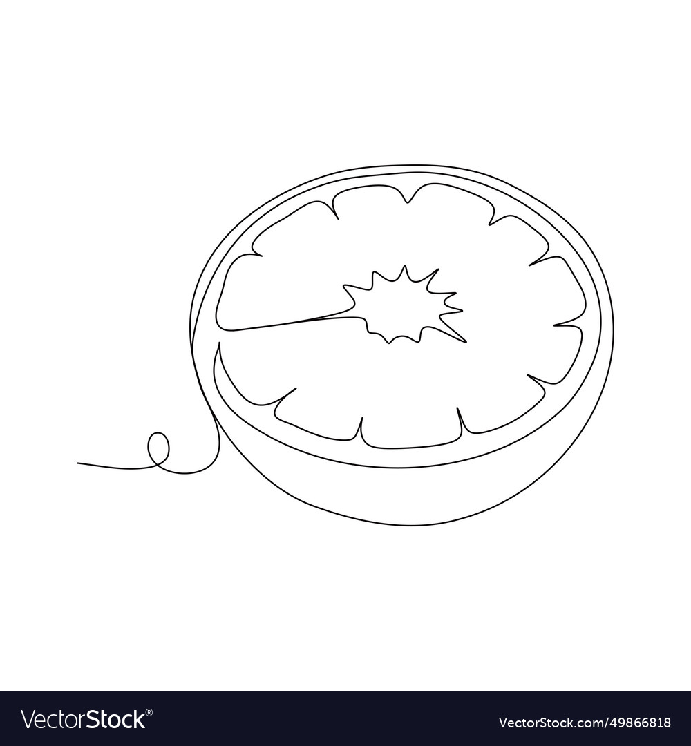 Continuous line drawing of a grapefruit Vector Image Continuous line drawing of a grapefruit