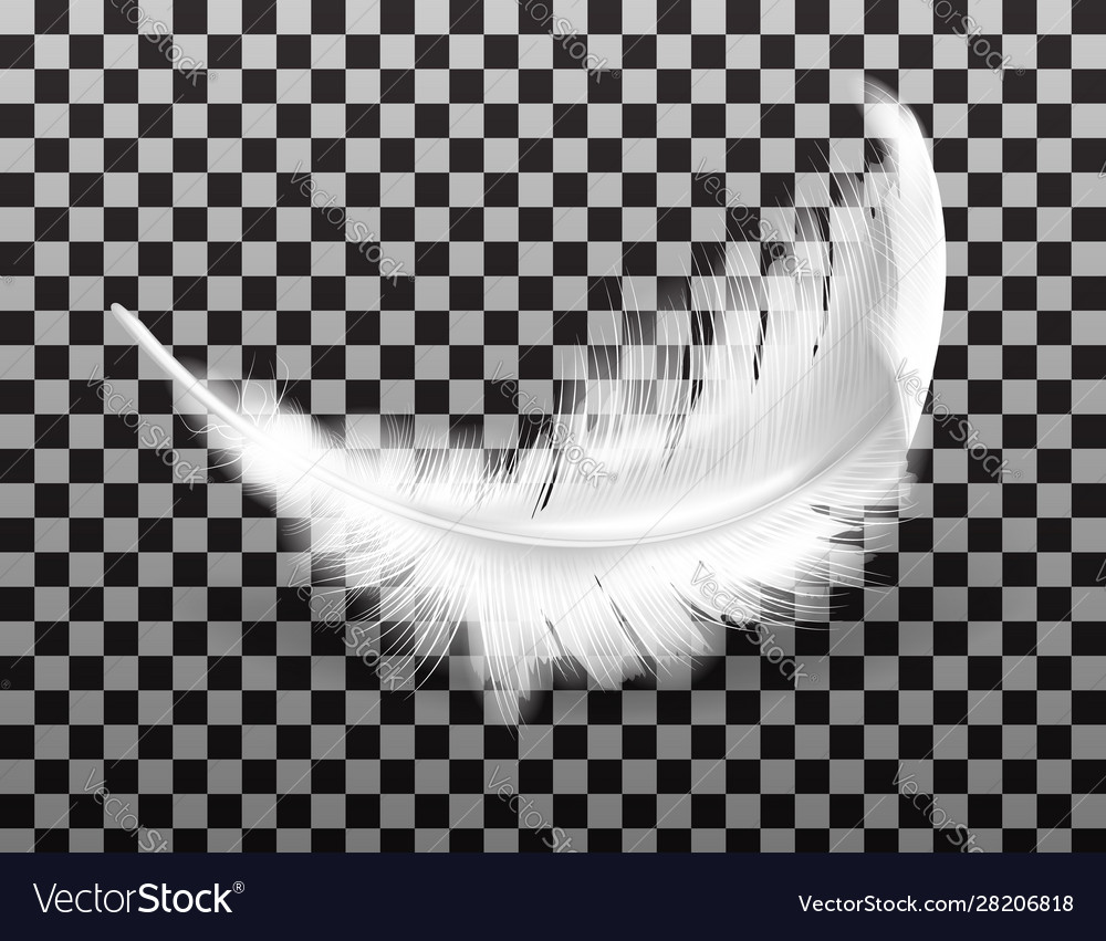 White Fluffy Feather With Shadow Realistic Vector Image