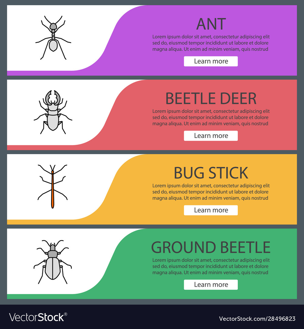 Insects Web-Banner-Vorlagen Set