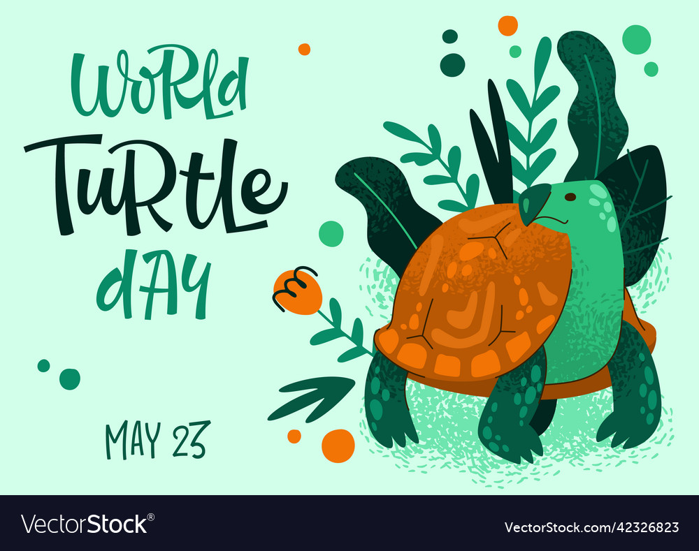 Poster with world turtle day announcement Vector Image