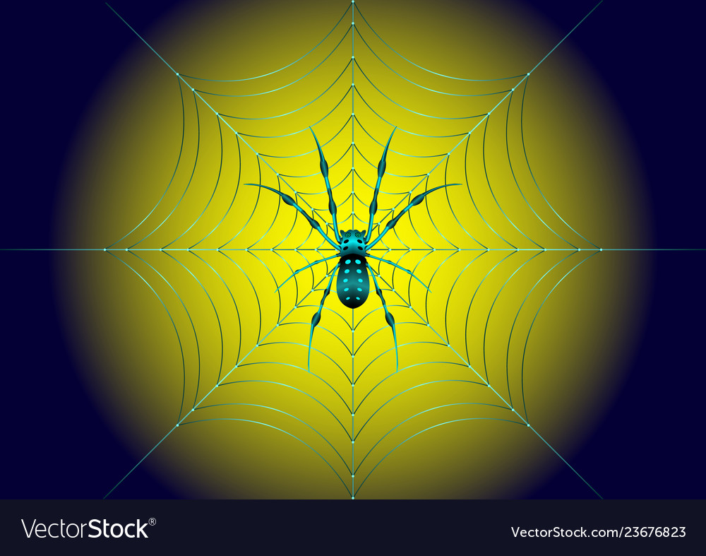 Spider on the web