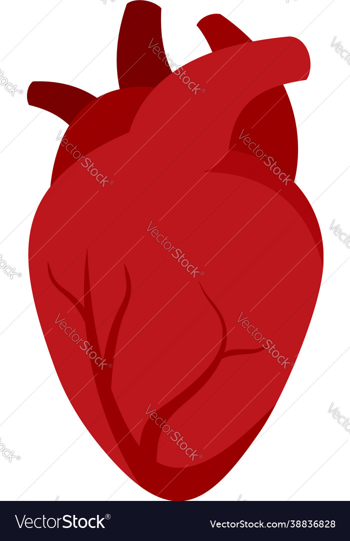 Free: Heart,human - Human Heart Png Gif 