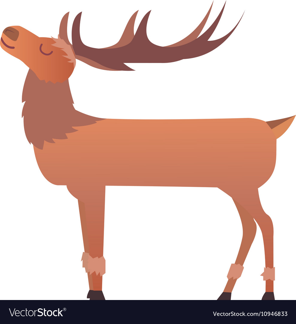 Cartoon deer animal