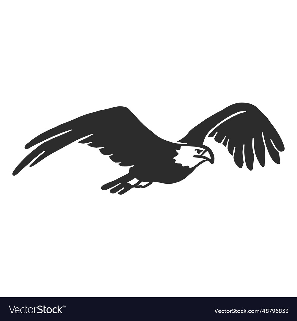 Eagle Flying Beak Wing Talon Doodle Bird Vector Image