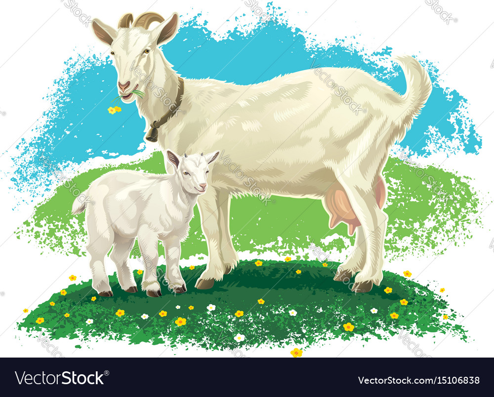 Goat with kid Royalty Free Vector Image VectorStock