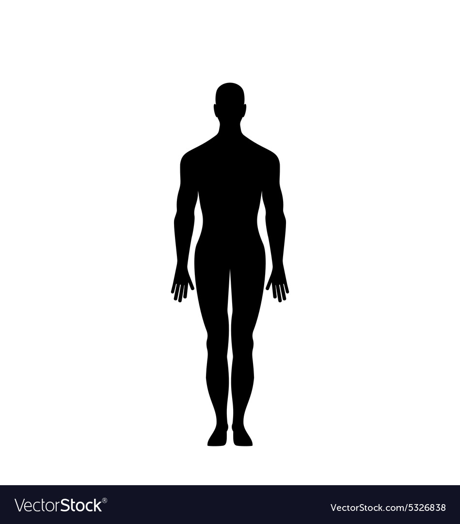 Man silhouette isolated Royalty Free Vector Image