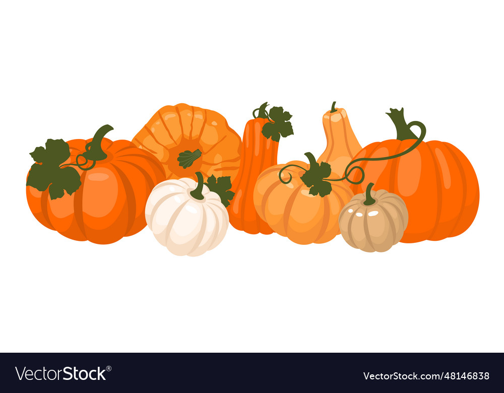 Pumpkin harvest