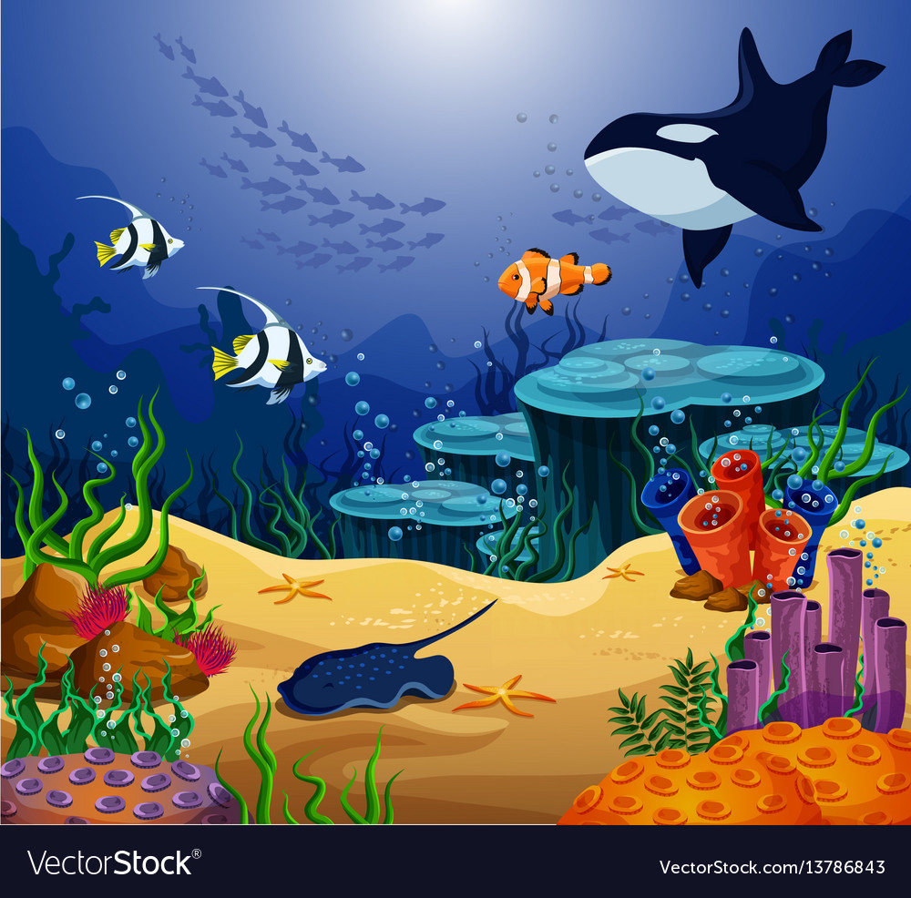 Ocean or sea fish killer whale and stingray Vector Image