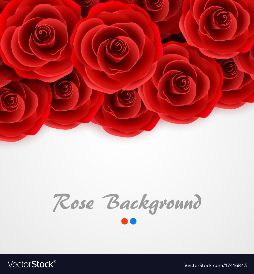 red roses background