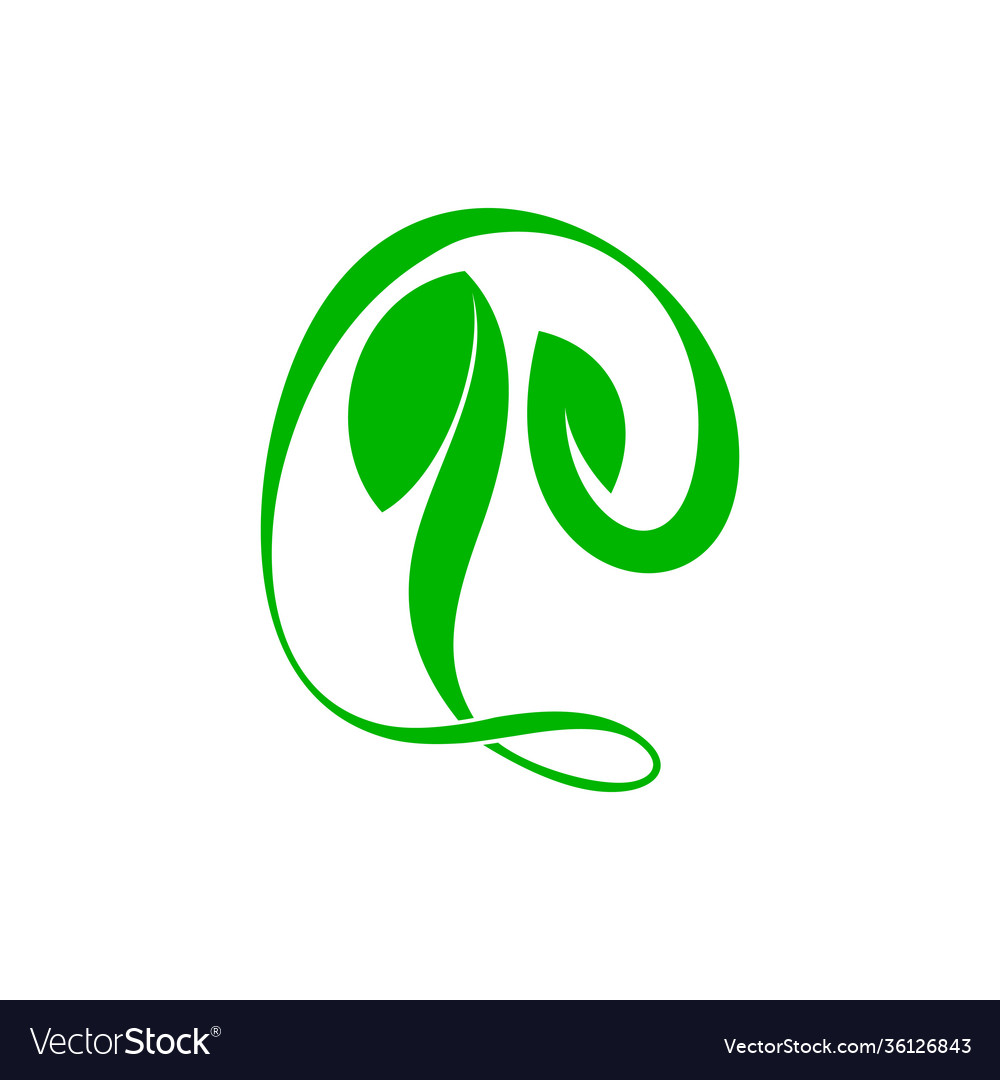 Simple abstract curves nature green leaf symbol Vector Image