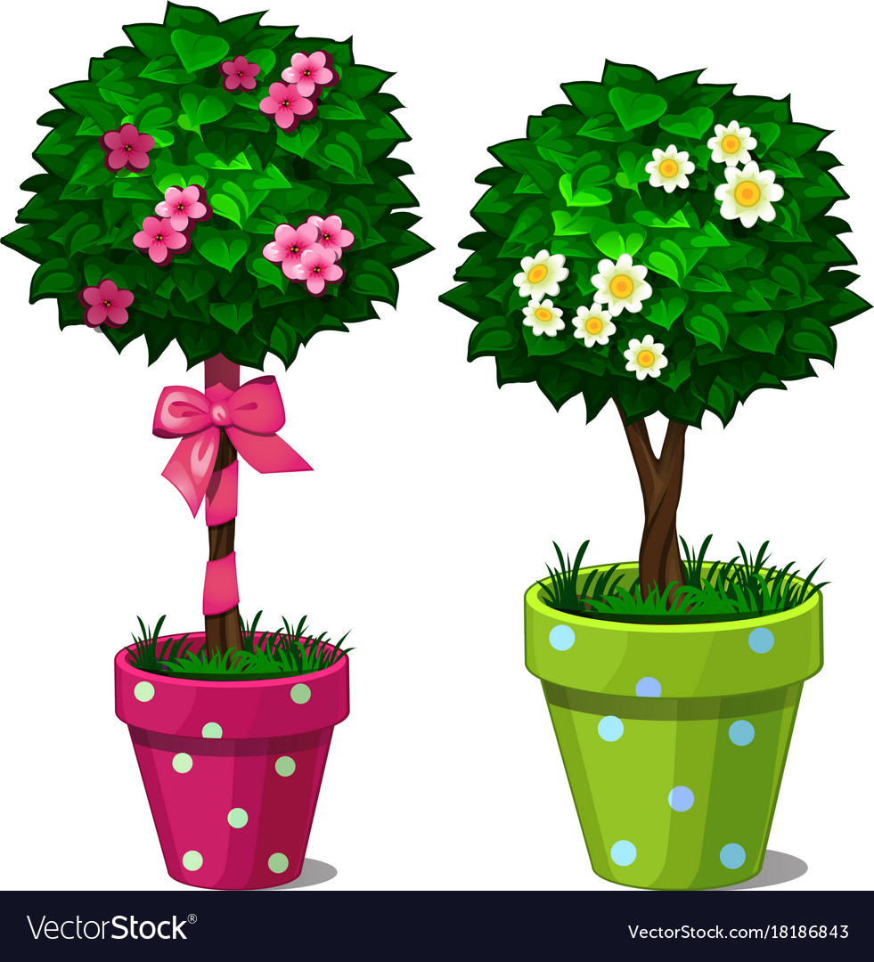 Two decorative bonsai tree with flowers in pots