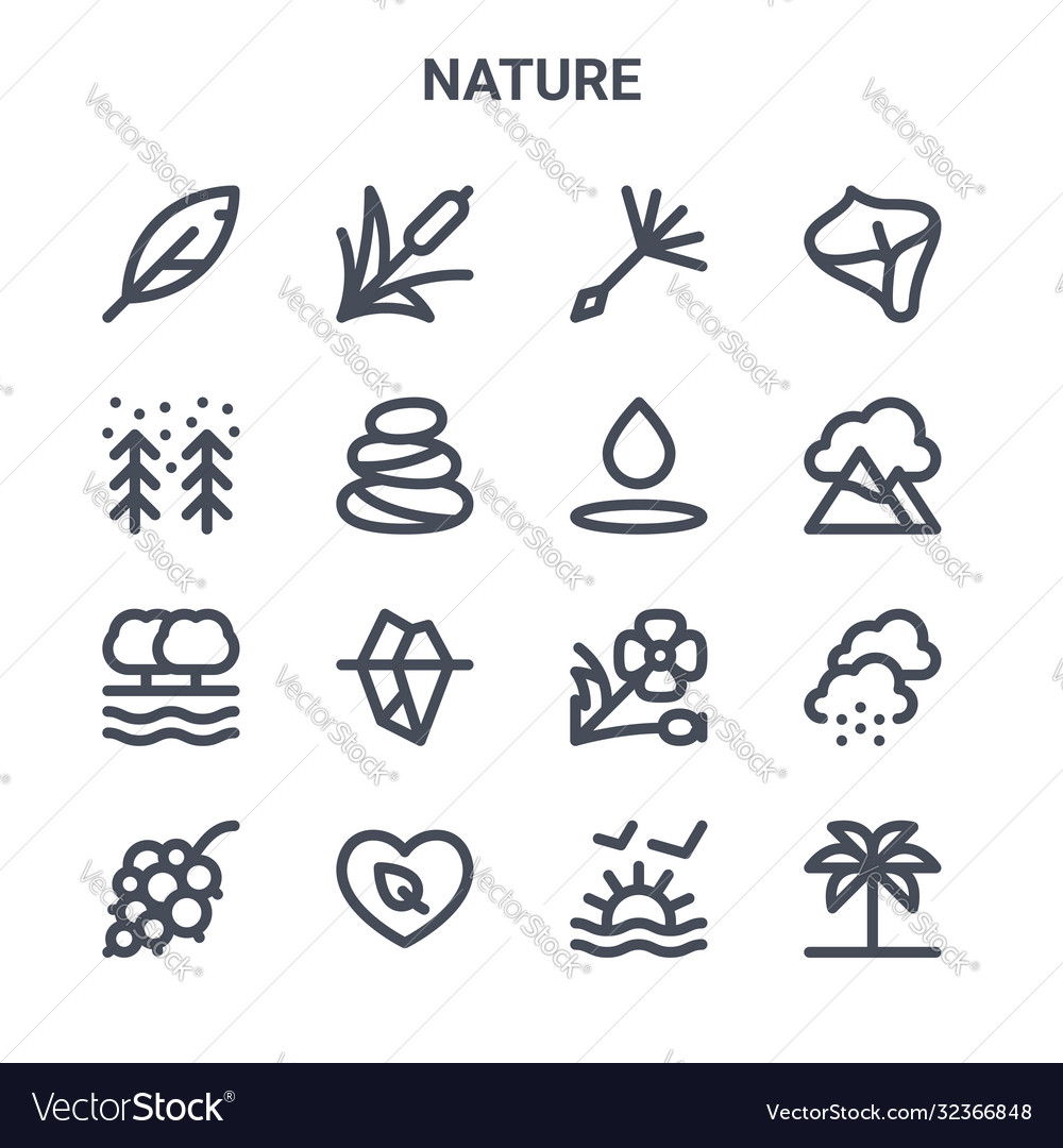 Set 16 nature concept line icons 64x64 thin