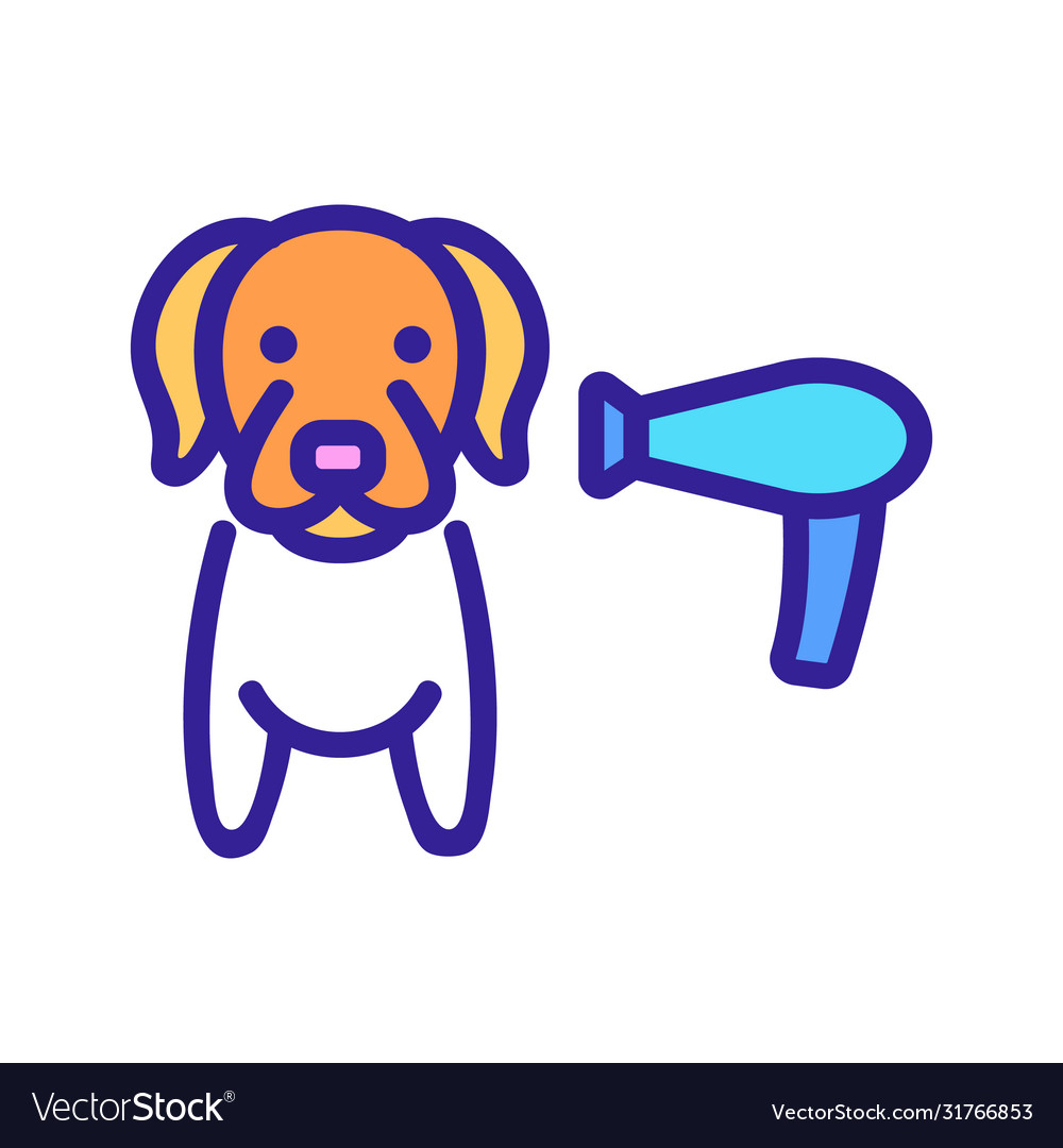 dog hair dryer