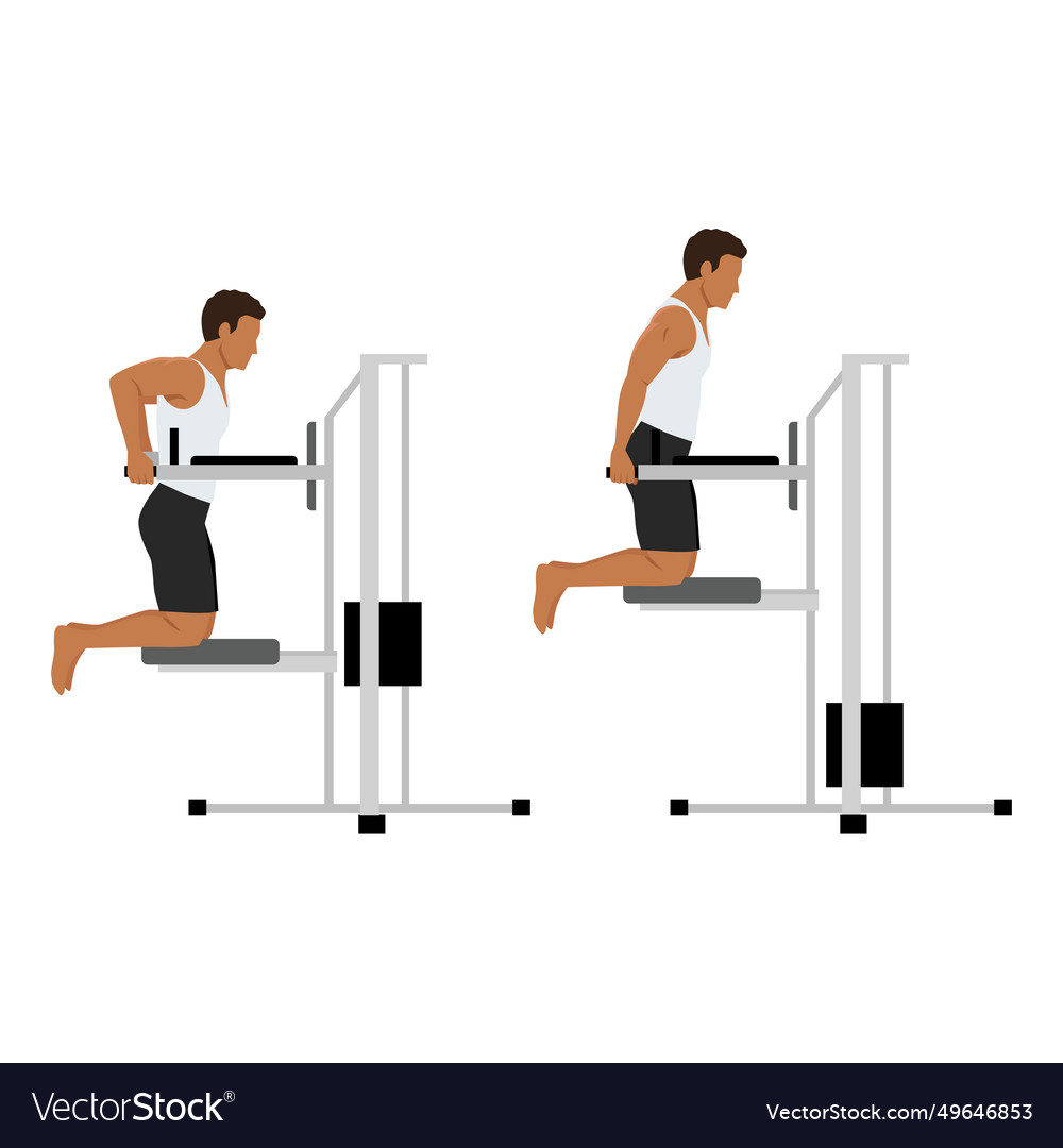 Man doing dips on parallel bars in the gym Vector Image