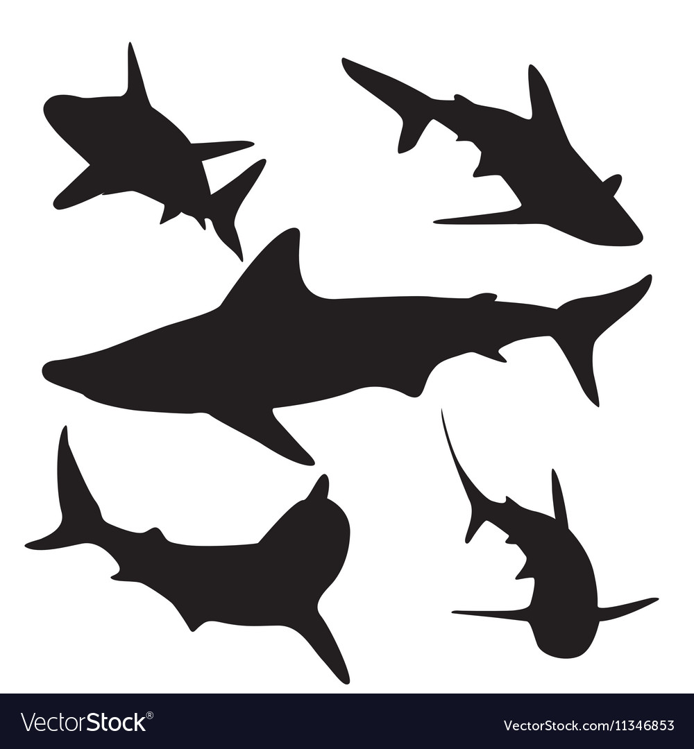 Shark silhouettes set Royalty Free Vector Image