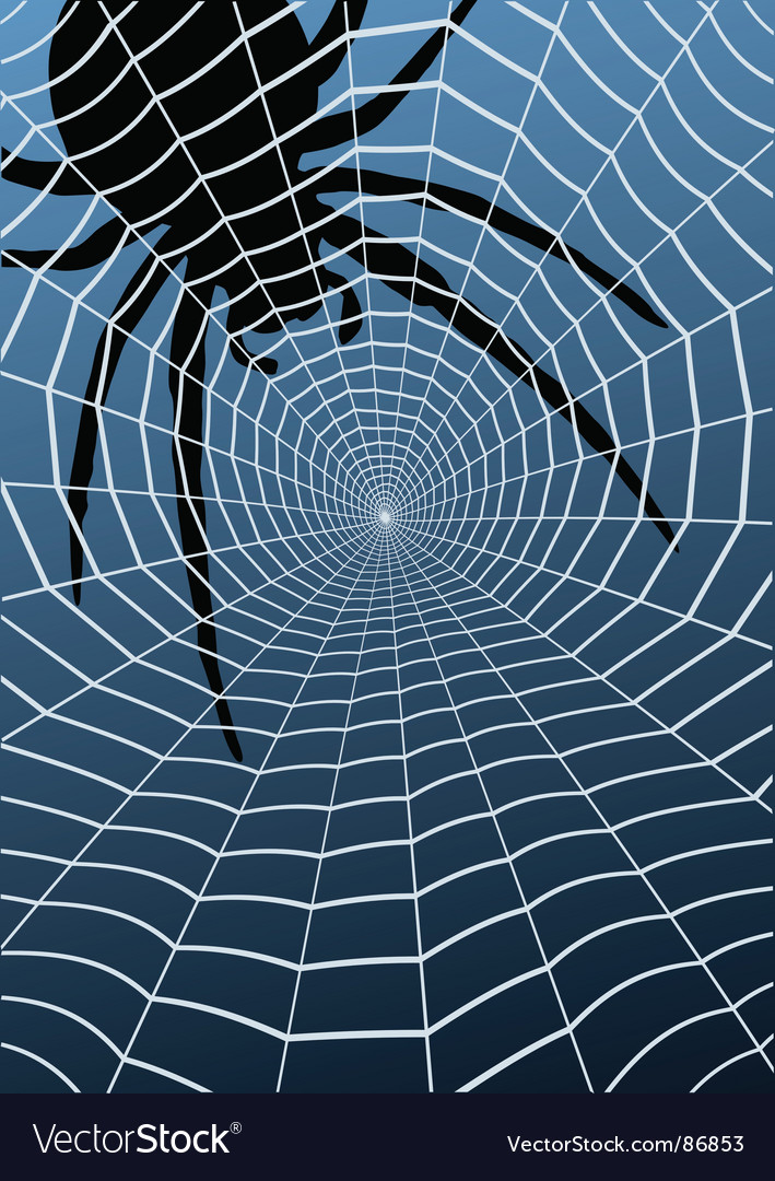 Spider and Intricate Web