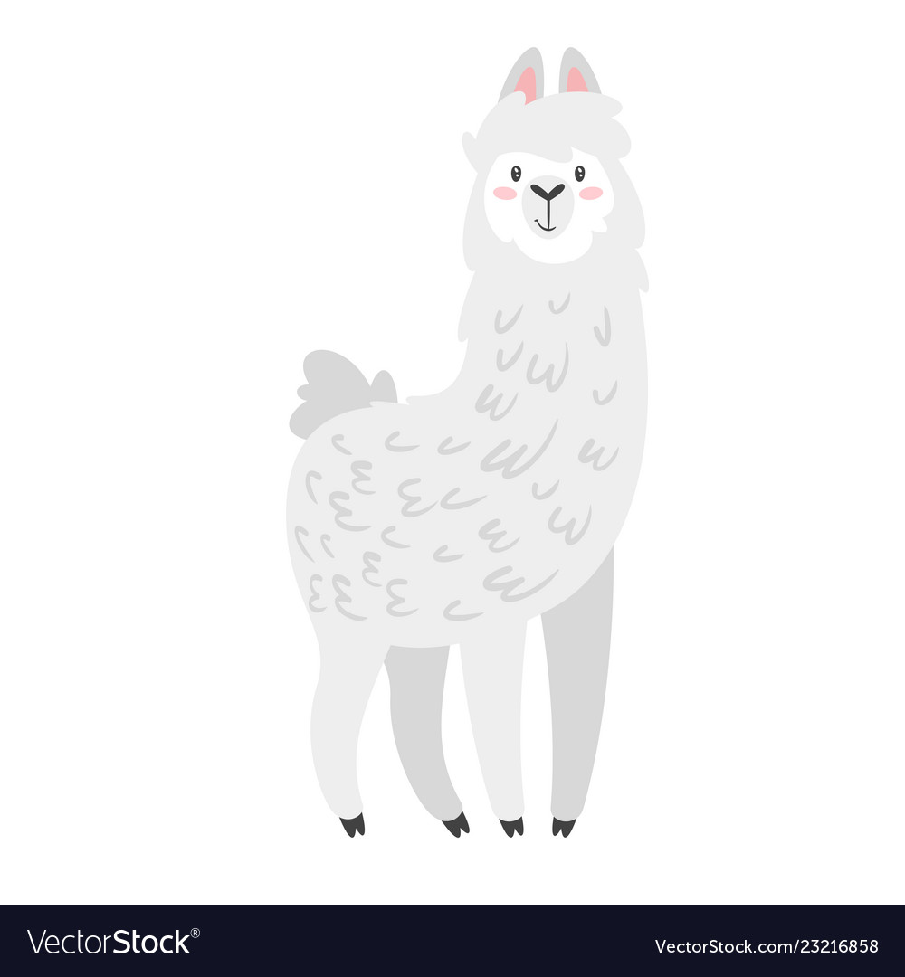 Cute lama alpaca animal