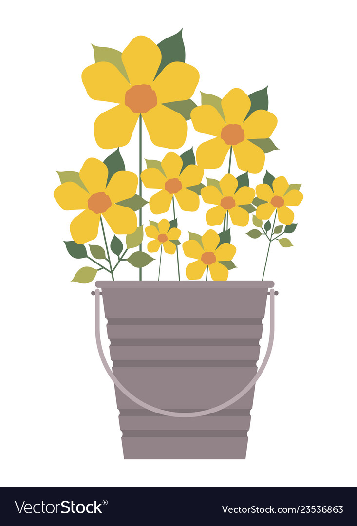Bucket with beautiful flowers isolated icon Vector Image