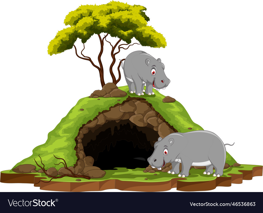 Cave and hippo Royalty Free Vector Image - VectorStock