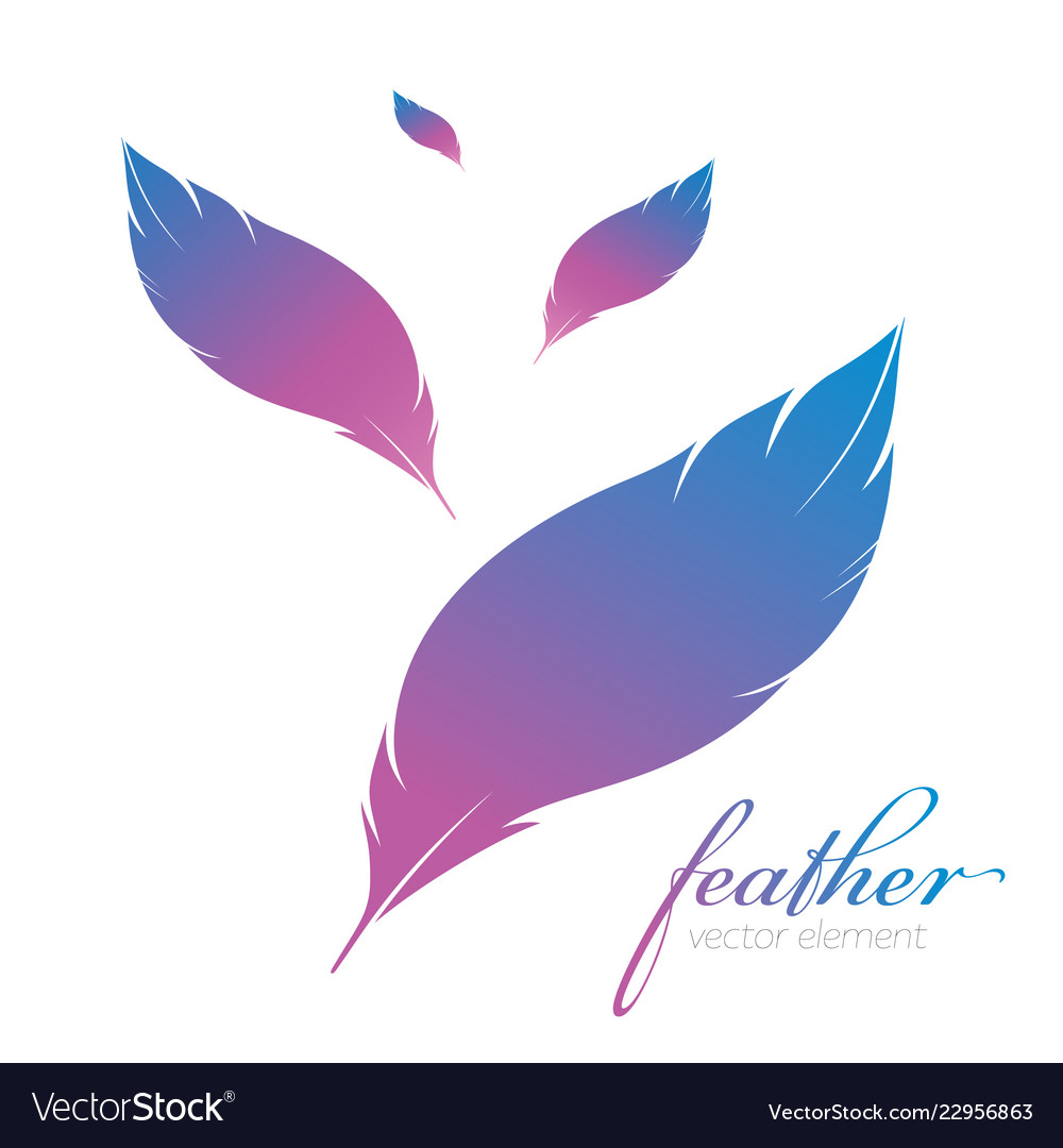 Color feathers badge logo card light background