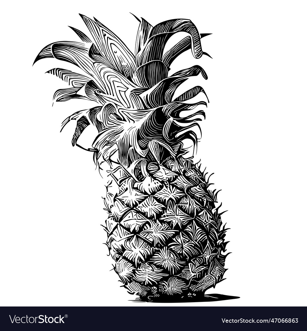 Ananas Doodle Sketch - Tropische Frucht Art