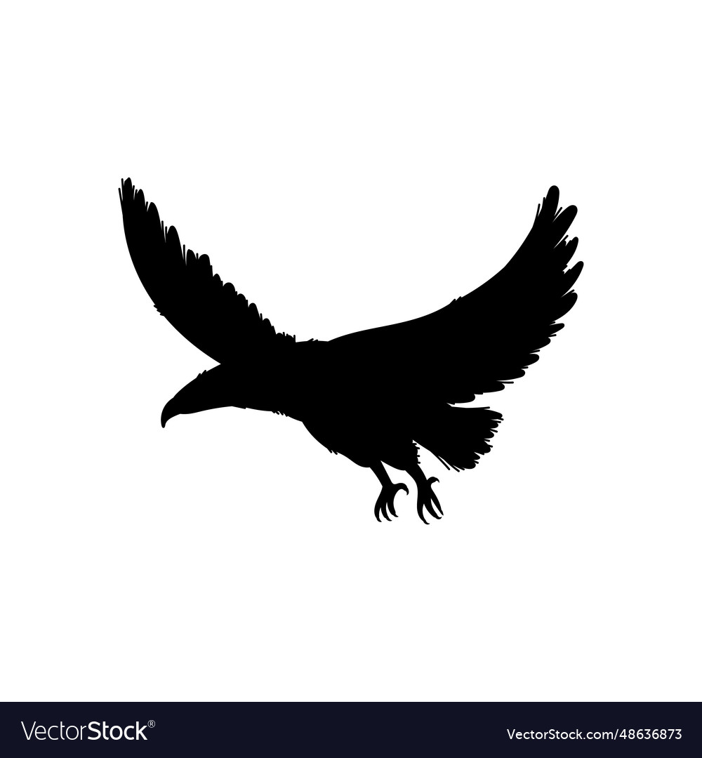 Black silhouette of north american bald eagle Vector Image