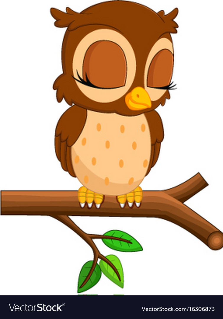 Cute owl cartoon Royalty Free Vector Image - VectorStock