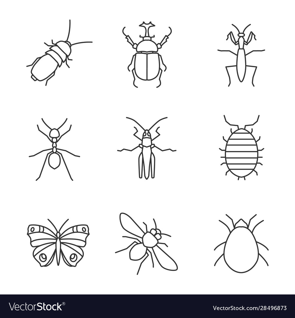 Insects Linear Icons Set Royalty Free Vector Image